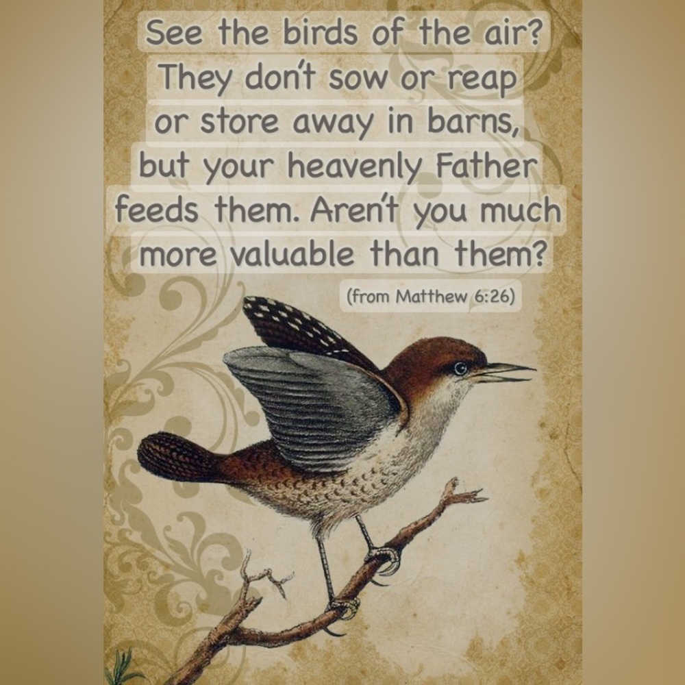 God feeds the birds everyday! Do you think he will let you starve